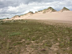 Foveran Dunes SSSI